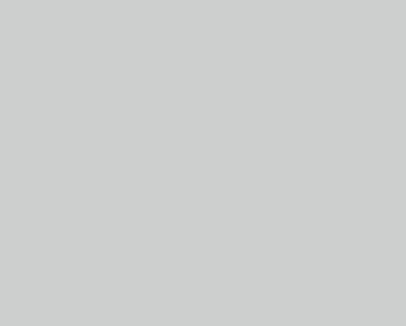 Grey Matte — panel colour