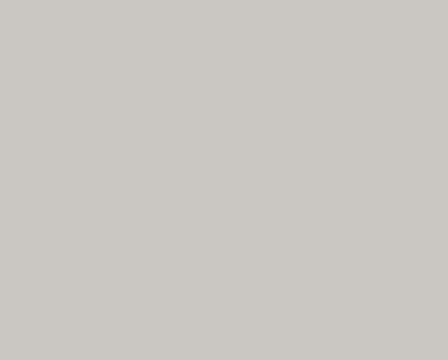 Porsche Grey Matte — panel colour